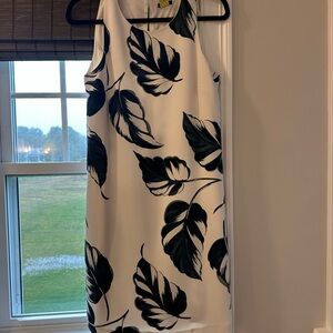 Ann Taylor Black Leaf Print Midi Dress